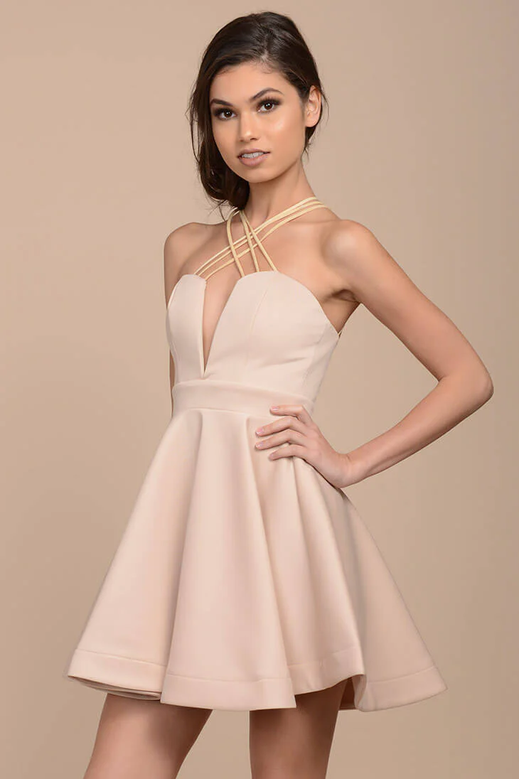 Karrin Fit and Flare Dress Nude - Seraphlike